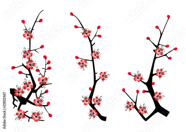 Obraz blossom cherry