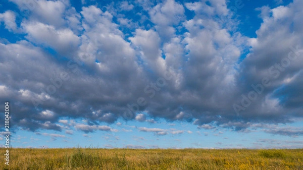 Obraz Куряжанка (not edit)