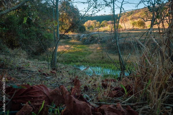 Obraz A quiet, colorful scene.
