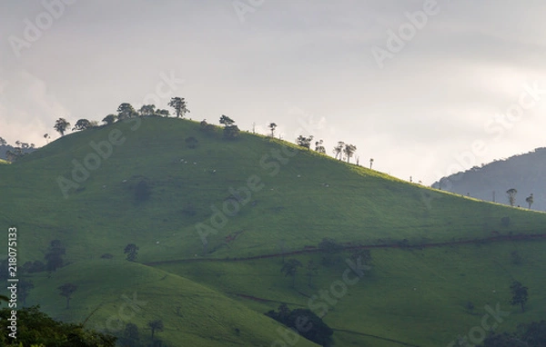 Obraz Montanha Verde Iluminada pelo Sol em Virgínia Sul de Minas