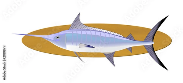 Obraz swordfish