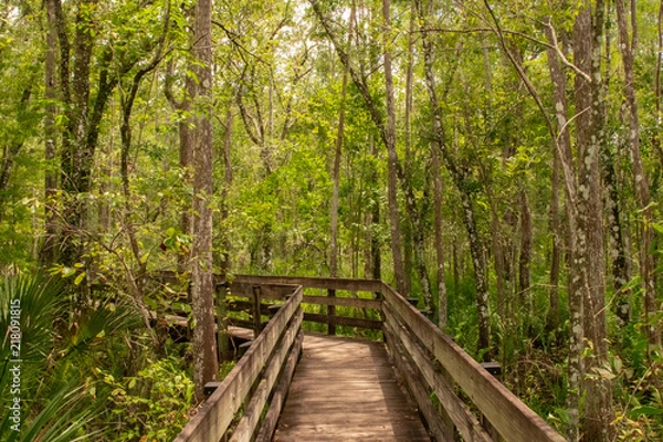 Fototapeta Boardwalk