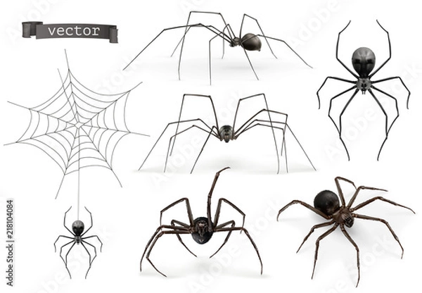 Obraz Realistyczny pająk. Halloween 3d wektor zestaw ikon