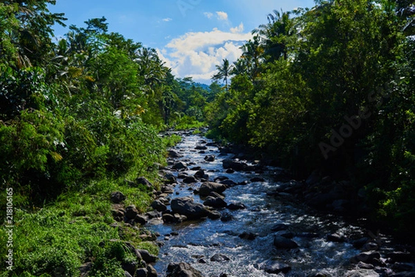 Fototapeta Tropical creek, flowing in the mountain forest. Mountainous jungle with trees leaning over fast stream. Magical scenery of rainforest and river. Wild, vivid vegetation of tropical forest. Indonesia.