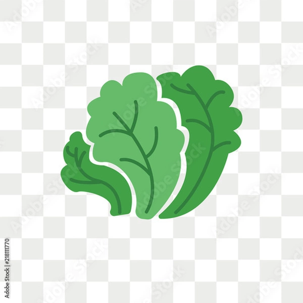 Obraz Salad vector icon isolated on transparent background, Salad logo design