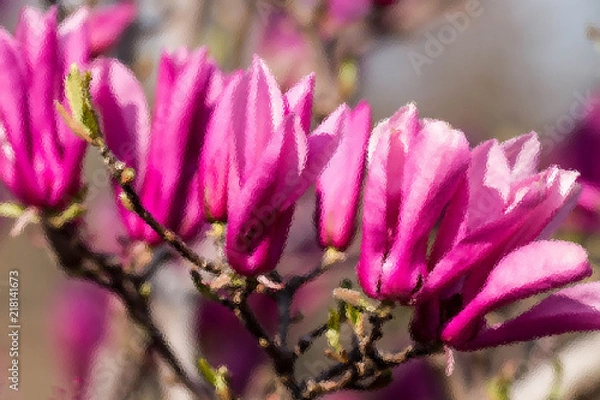 Fototapeta Blooming Tree
