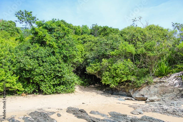 Fototapeta Praia do Poá