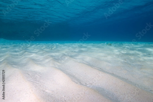 Obraz Ripples of sand