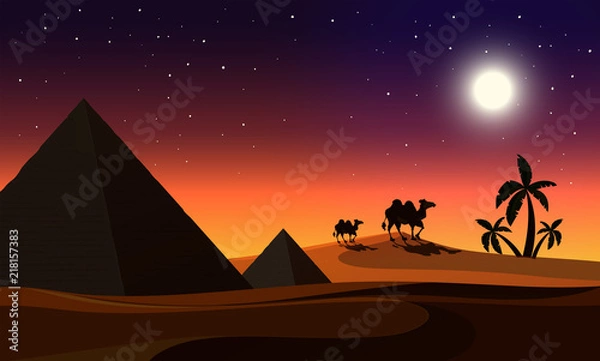 Obraz A desert at night