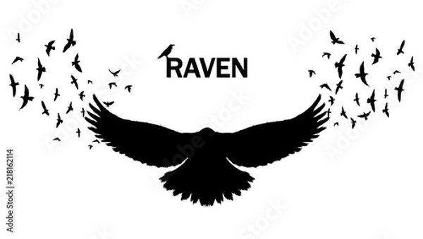 Obraz Vector image of a silhouette of a raven on a white background. Wall sticker concept illustration.