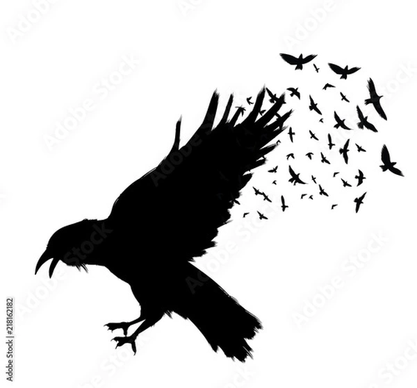 Obraz Raven Flying . Black raven isolated on white background. Hand drawn crow.