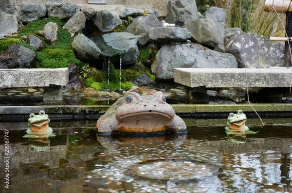 Obraz Ornamental Frog in a Pond