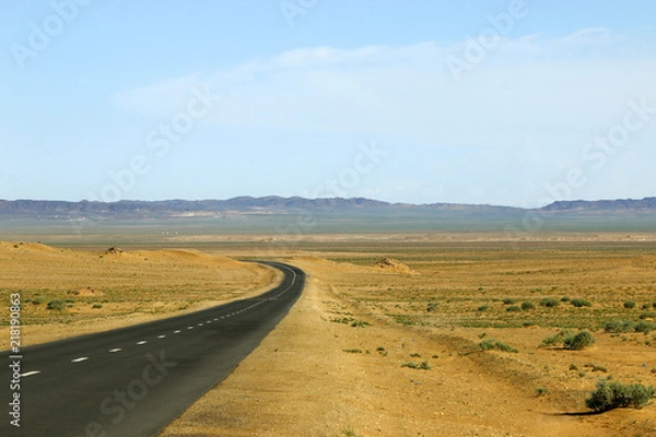 Fototapeta Road in the steppe of gobi desert, Mongolia