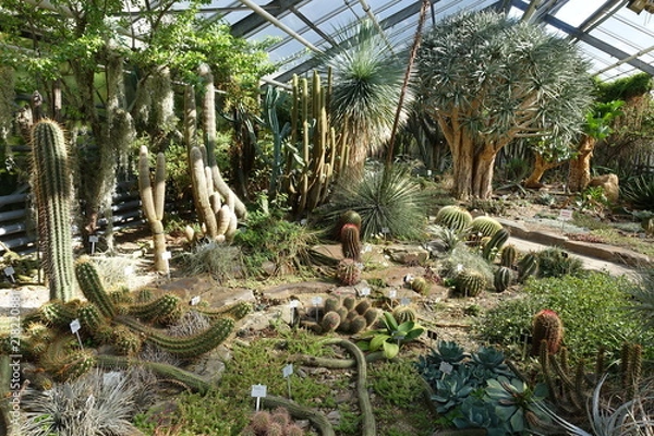 Obraz Bonn, Botanischer Garten