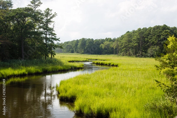 Obraz creek through salt marsh