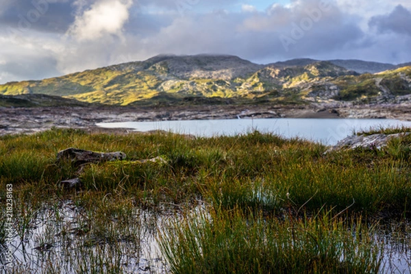 Obraz Norwegian nature