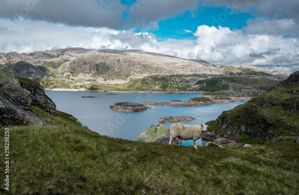 Obraz Norwegian nature