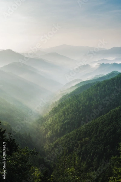 Fototapeta 奈良　高野山の朝