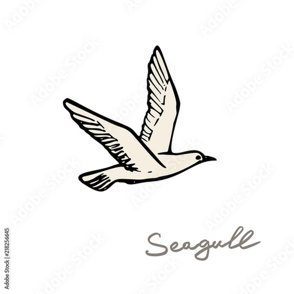Fototapeta seagull in the sky vector illustration