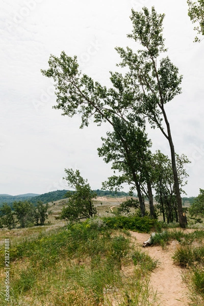 Fototapeta Sleeping Bear Dunes in Northern Michigan