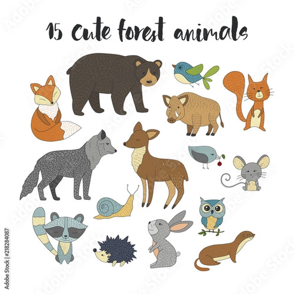 Fototapeta Big set with hand drawn vector, forest, animals color on a white background.