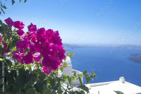 Obraz Bouganville a Santorini
