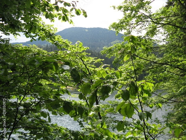 Obraz Далечінь