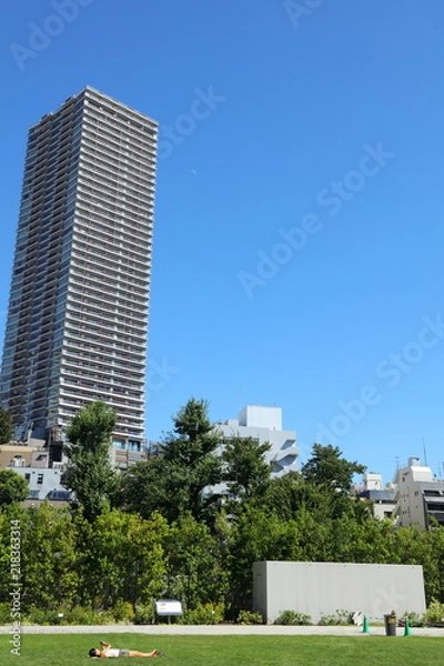 Fototapeta 日向ぼっこ