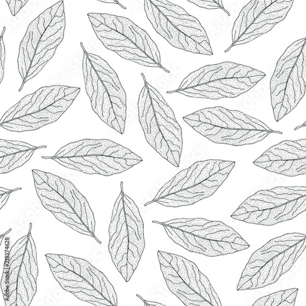 Obraz Bay leaf seamless pattern. Hand-drawn Laurel leaves on a white background. Vector drawing.