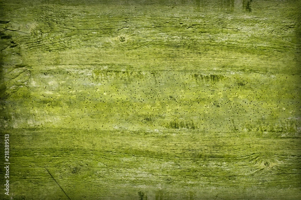 Obraz Old wood texture. Abstract background.