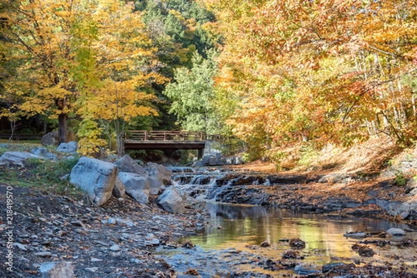 Obraz Autumn Bridge and Brook in Whetstone Gulf State Park