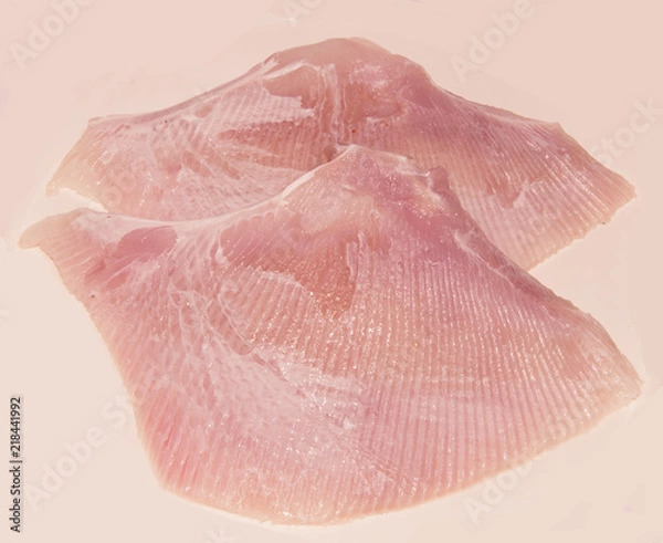 Obraz Ray wing fresh