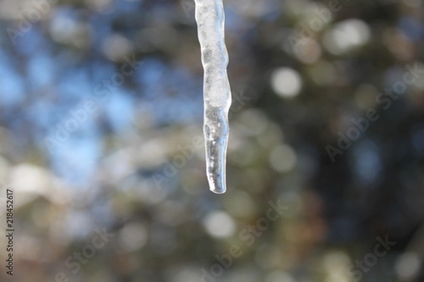 Obraz Dripping Icicle