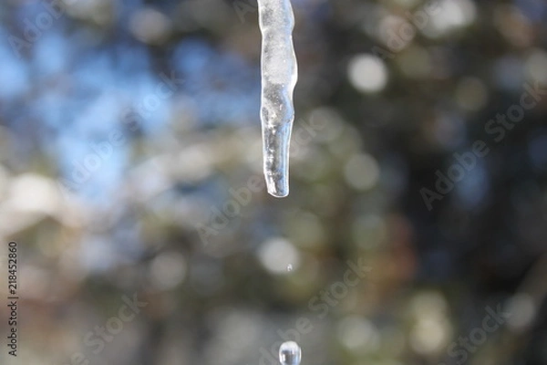 Obraz Dripping Icicle