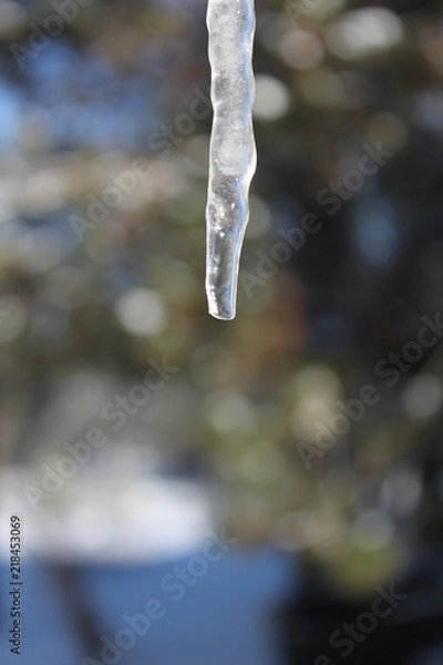 Obraz Dripping Icicle