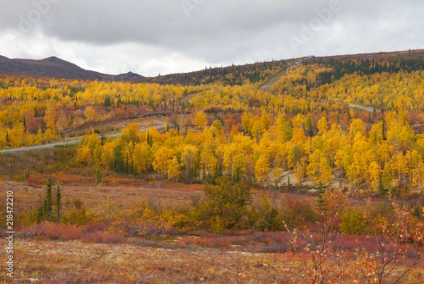 Obraz Northern roads