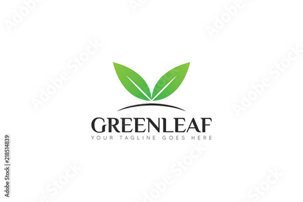 Fototapeta leaf logo and icon Vector design Template