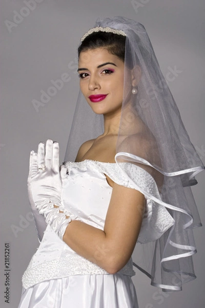 Obraz Beautiful brunette bride