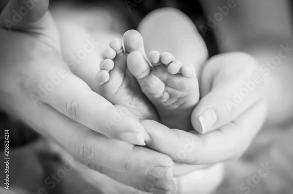 Fototapeta Tiny feet of a newborn baby girl in her mothers arms. One week year old infant baby. First days of her life image. Maternity and motherhood concept image.  Black and white photo.