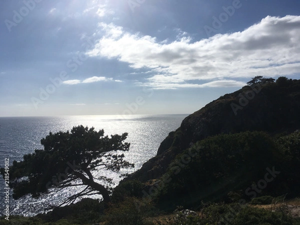 Obraz landscape in Sweden