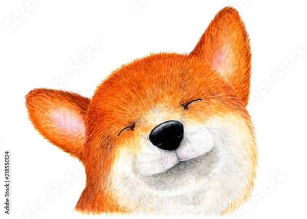 Fototapeta Portret Shiba inu, Akita inu. Akwarela ilustracja. Szczęśliwy pies Shiba inu cieszący się życiem. Ilustracja do nadruku na koszulkach, okładkach paszportów, paszach dla zwierząt itp.