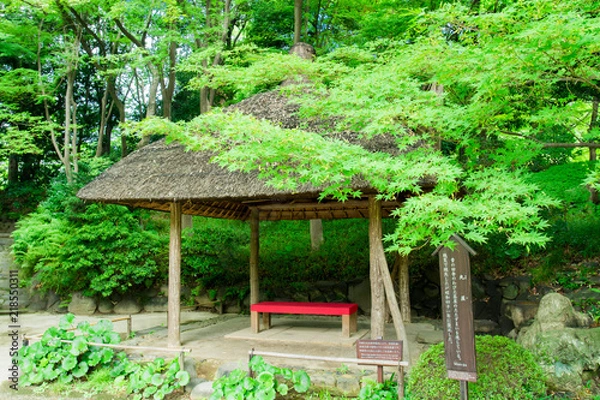 Obraz 小石川後楽園