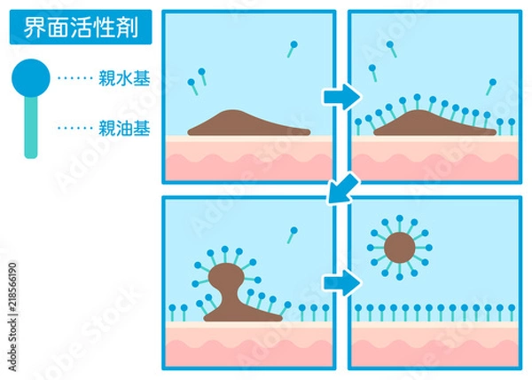 Obraz 界面活性剤で肌の汚れを落とす仕組み