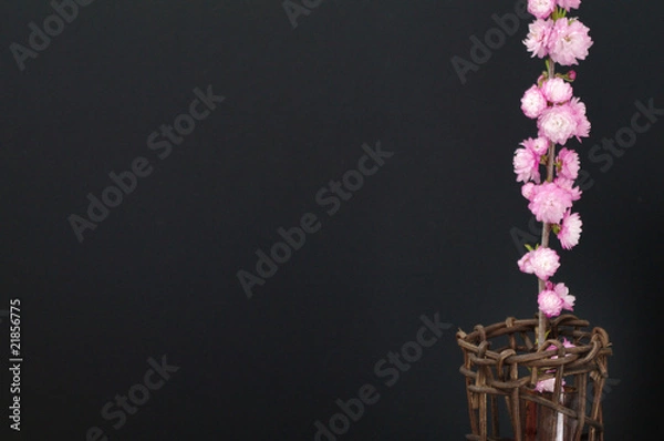 Obraz ピンクの可愛らしい生花