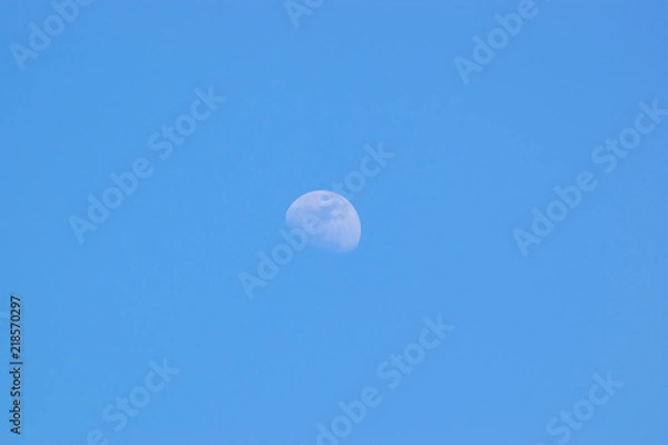 Fototapeta The moon in the evening.