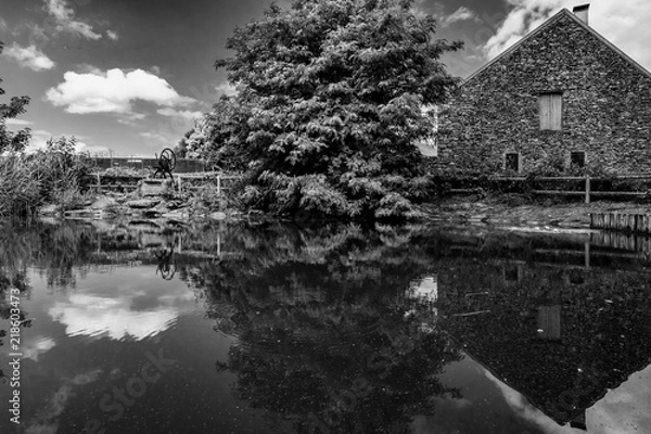 Obraz Reflet sur la mare 