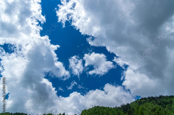 Fototapeta 乗鞍高原　三本滝