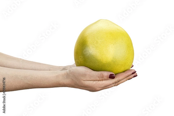 Fototapeta  Pomelo fruit isolated