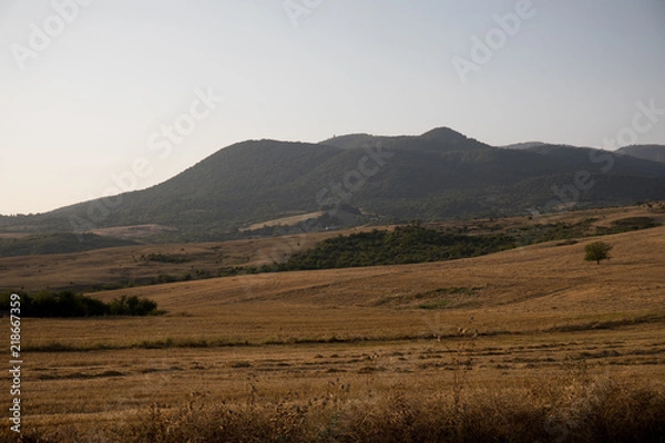 Obraz Majestic landscape of the mountains and forest in Caucasus at summer. Dramatic sky with clouds.
