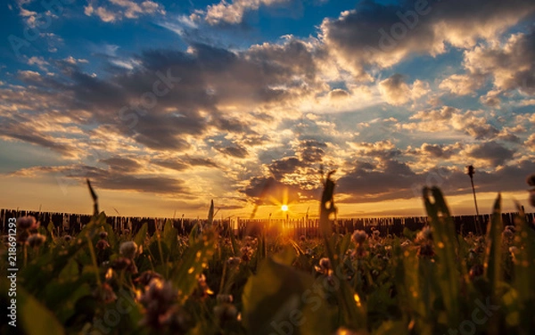 Obraz Sonnenuntergang über Kreisgrabenanlage / Sonnenobservatorium in Goseck Sachsen-Anhalt